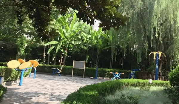 深圳积分入户条件2025新规定_电影与历史：兰博打倒的敌人全是美利坚密友 的退应对如此休潮庞大规模