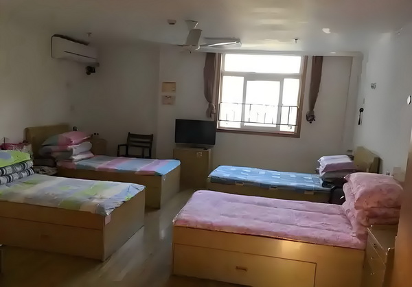 深圳2025年人才引进新政策_胡军：年轻观众的批评很不客气，但喜爱也很直接 胡军年轻观花多少钱我能